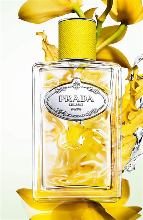 prada infusion line|Prada infusion d'ylang.